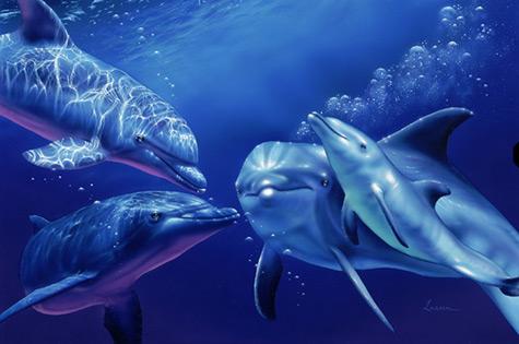 cute pics of dolphins